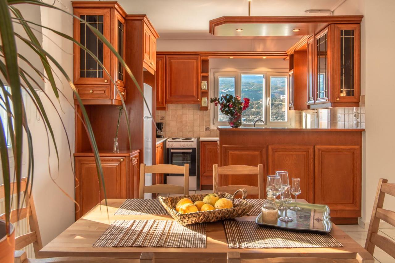 Eleni'S Seaview House Apartment Ándros Екстериор снимка